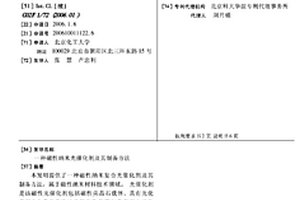 磁性纳米光催化剂及其制备方法