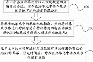 养鱼系统及养鱼养殖水体处理方法