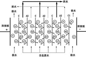 采用定向驱动技术防止极水系统结垢的电渗析装置
