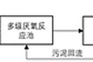 利用活性污泥去除水中六价铬及总铬的方法