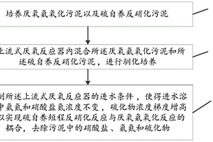 硫自养短程反硝化耦合厌氧氨氧化的脱氨方法和系统