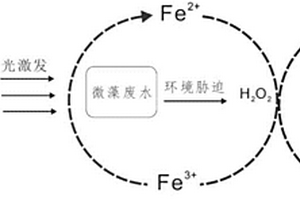 基于微藻的光助芬顿体系处理水体有机污染物的方法