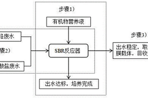 基于生物膜反硝化系统的金属铬回收方法