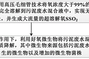 采用高纯度纯氧结合微生物处理的污泥减量方法