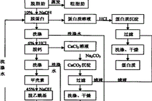 从虾壳中综合制备生物活性物质的环保方法