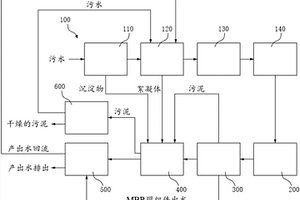用于深度脱除污水中有机物的系统