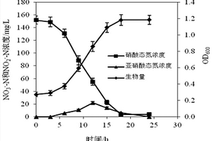 一株异养硝化‑好氧反硝化节杆菌及其应用