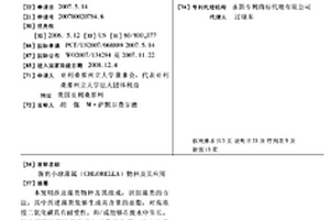 新的小球藻属(CHLORELLA)物种及其应用