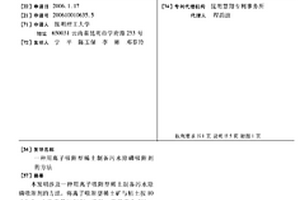 用离子吸附型稀土制备污水除磷吸附剂的方法