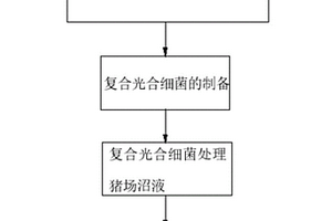 利用复合光合细菌处理猪场沼液的方法