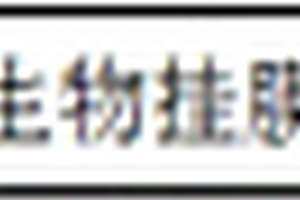 快速启动全程自养脱氮的方法