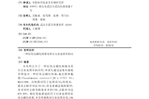 好氧反硝化细菌及其在污水处理中的应用