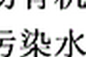 降解处理有机污染水中的有机物的方法和系统