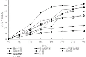 用于降解厨余垃圾有机废液的微生物菌剂、制备方法及其应用