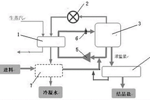 抗污堵、自洁净MVR蒸发浓缩系统