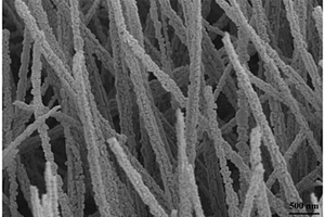 Janus Cu(OH)<sub>2</sub>@Cu<sub>2</sub>O/Cu网及其制备方法、应用