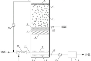 生物脱氮反应器及其脱氮方法