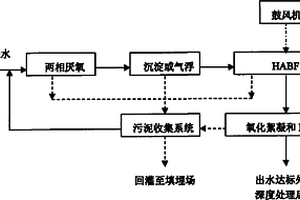 处理垃圾渗滤液的工艺