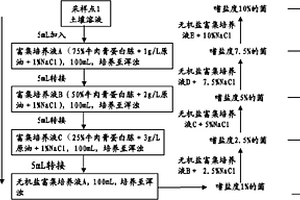 石油污染土壤生物修复菌剂的筛选及修复方法