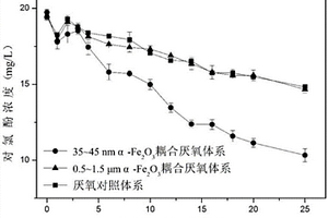 厌氧体系耦合α-Fe<sub>2</sub>O<sub>3</sub>纳米颗粒还原对氯酚的方法