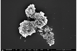 氧化铋改性Ti<Sup>3+</Sup>自掺杂TiO<Sub>2</Sub>异质结光催化剂的制备方法