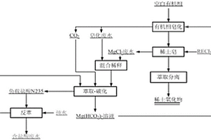 实现碳酸氢镁循环利用的稀土萃取方法