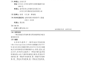 一株高效底改芽孢杆菌及其制成的复合底改菌剂和应用