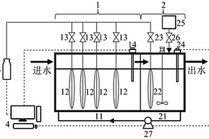 实现水中卤代有机污染物快速降解的方法及系统