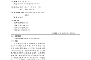 一株哌嗪降解副球菌PQ-01及其应用