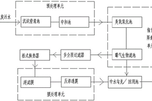 中水回用处理系统及其应用