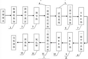 高效脱氮除磷处理系统