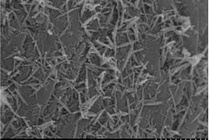 Mn/Nano-G | foam-Ni/Pd复合电极及其制备方法