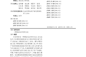 煤盐综合利用方法