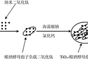 具有光化学活性的生物材料及其制备方法与应用