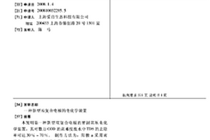 新型双复合电极的电化学装置