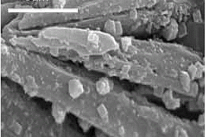 负载型固体碱催化剂、其制备方法以及其在合成新型生物柴油中的应用