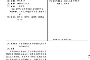 用于生物流化床的生物催化组合填料的制备方法