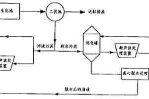 用超声波处理污泥使污泥减量化的方法