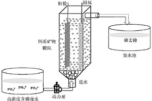 电化学调控钙质矿物材料除磷的方法