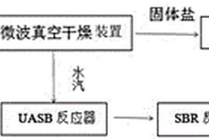 多效蒸发后的浓母液减量处理系统