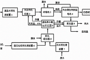 基于微藻的多技术耦合净化高盐水系统