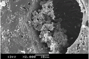 水处理用纳米氧化亚铜复相陶粒及其制备方法和应用