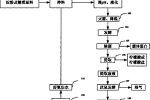 以好氧出水为配料水的柠檬酸生产方法