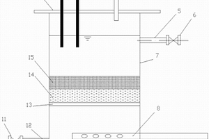 固定化好氧氨氧化菌和厌氧氨氧化菌的一体式自养脱氮反应器