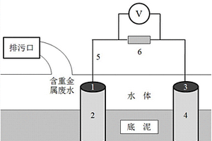基于浓差电池的水体重金属污染监测装置