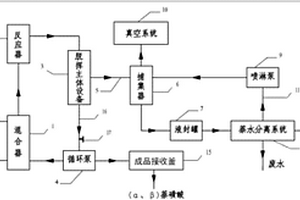萘连续磺化的生产系统
