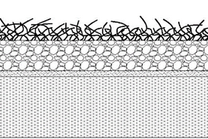 钛基氧化锡锑纳米线吸附性电极