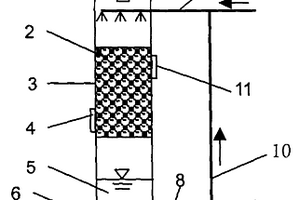 碱性固废洗涤除臭塔