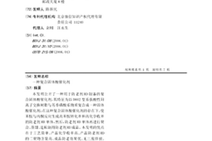 复合固体酸催化剂