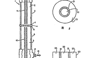 新型的固体多组分膜、电化学反应器以及用膜和反应器进行氧化反应
